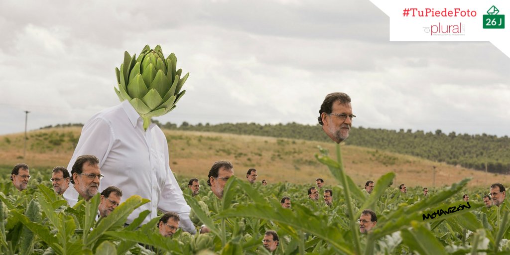 Uno de los memes que se hizo con Rajoy en aquella visita al campo.., sin embargo, él estaba recogiendo un voto con cada alcachofa