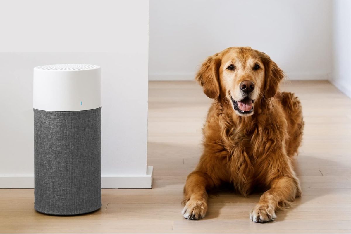 El purificador de aire Blueair Blue Pure 3210 transforma tu entorno en un lugar más saludable y cómodo