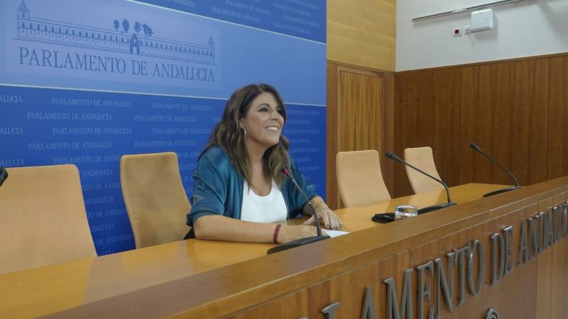 Ángeles Férriz, portavoz del grupo parlamentario socialista