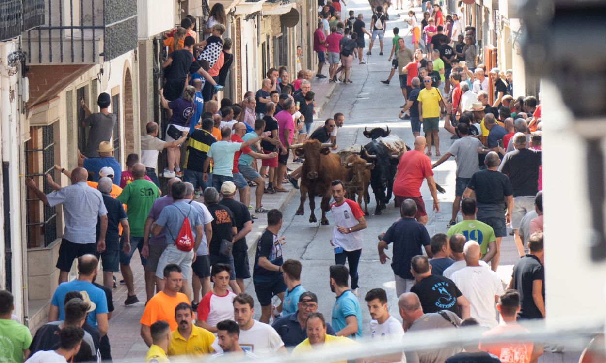 Festejo de 'bous al carrer' en imagen de archivo. EP