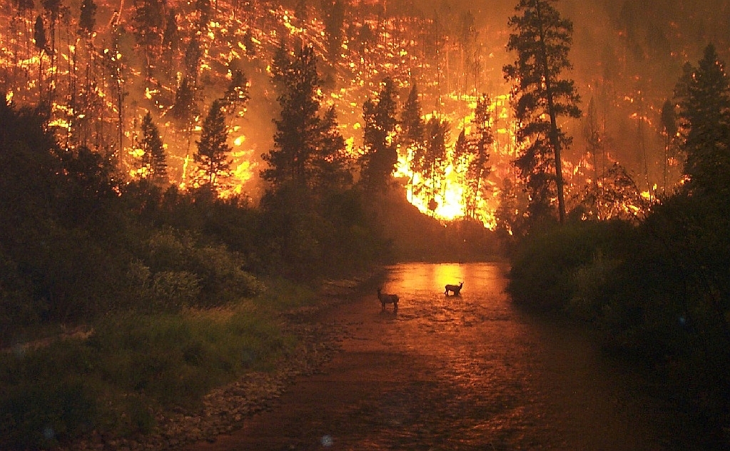 Pésimo comienzo para la campaña de incendios de 2016