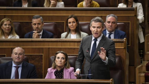 El presidente del PP, Alberto Núñez Feijóo, interviene durante una sesión de control al Gobierno, en el Congreso de los Diputados