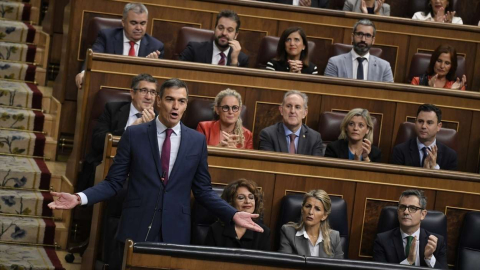 El presidente del Gobierno, Pedro Sánchez ,interviene durante una sesión de control al Gobierno, en el Congreso de los Diputados.