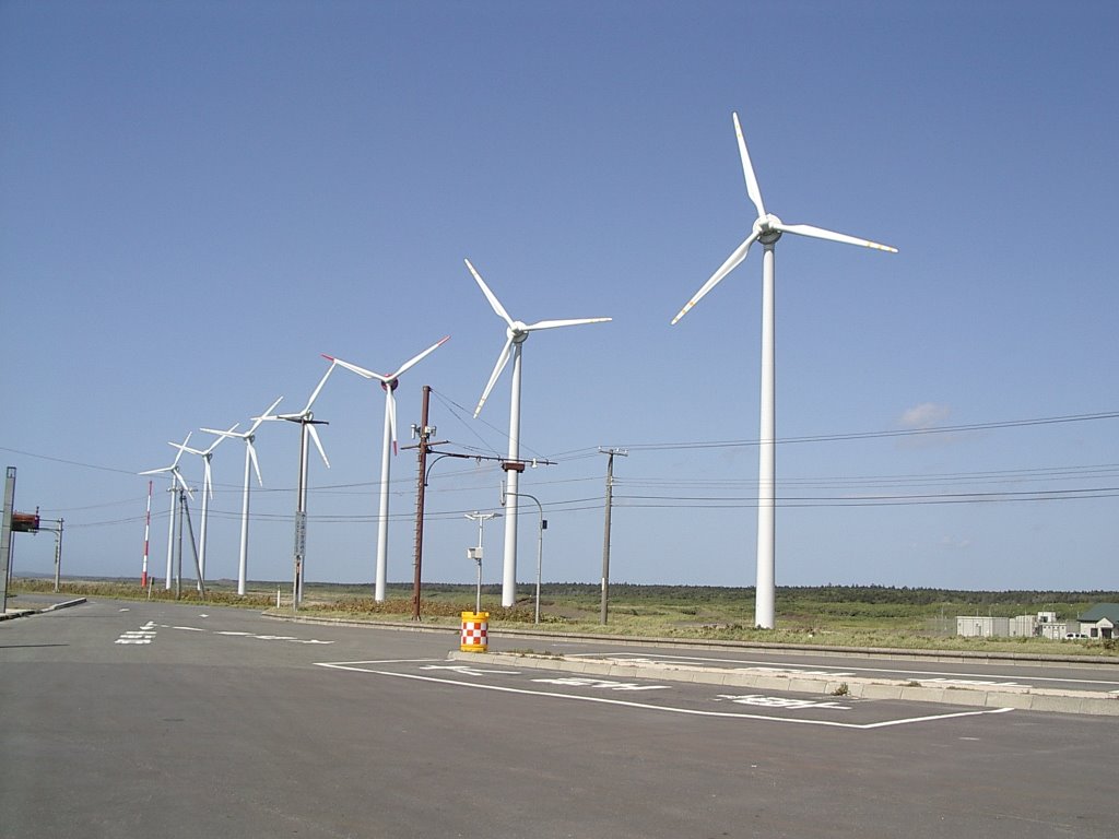 Un molino de viento que vale por diez