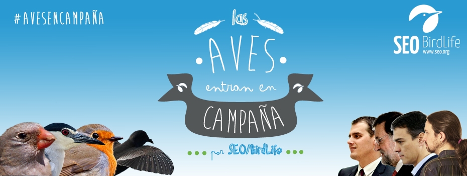 Las aves entran en campaña con SEO/BirdLife