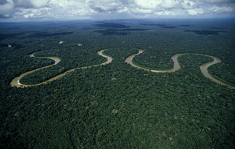 ¿El bosque más grande del planeta es el Amazonas?
