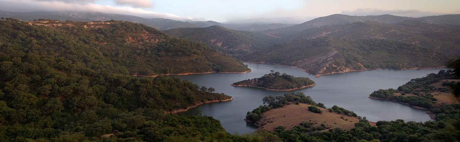 Parque natural de la Almoina en Castellar de la Frontera (Foto Ministerio de Transición Ecológica) Parque natural de la Almoina en Castellar de la Frontera (Foto Ministerio de Transición Ecológica)