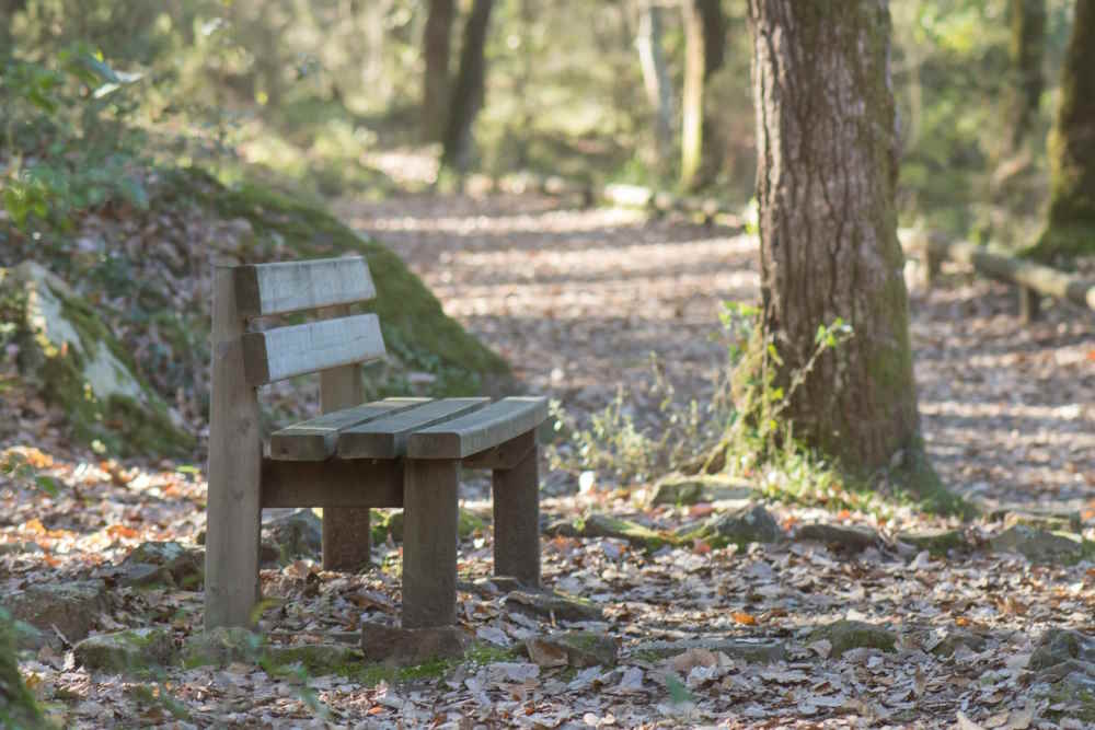 Sendero de Valdeinfierno, en el Parque Natural de Los Alcornocales (Foto Diputación Provincial de Cádiz)