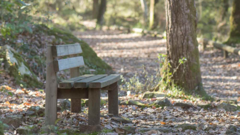Sendero de Valdeinfierno, en el Parque Natural de Los Alcornocales (Foto Diputación Provincial de Cádiz)