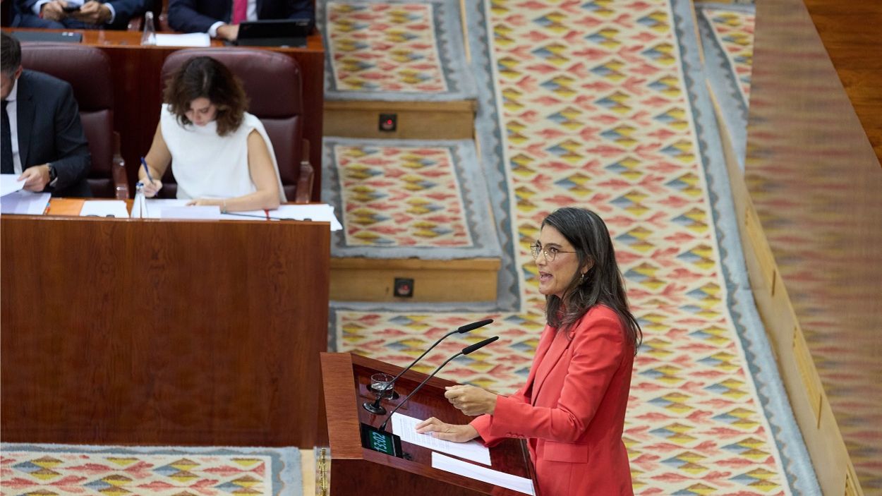 Más Madrid presenta enmiendas verdes a los Presupuestos de Ayuso. EP