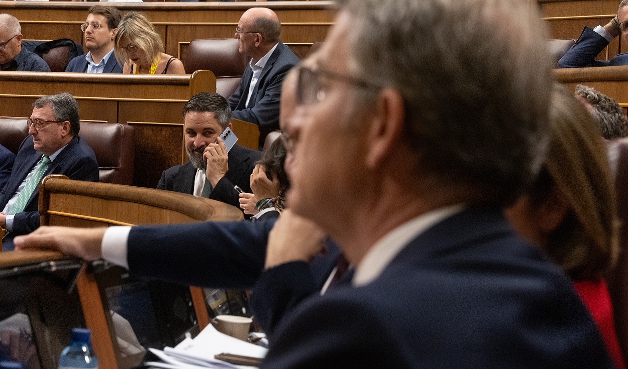 El líder de Vox, Santiago Abascal, mira al presidente del PP, Alberto Núñez Feijóo. EP