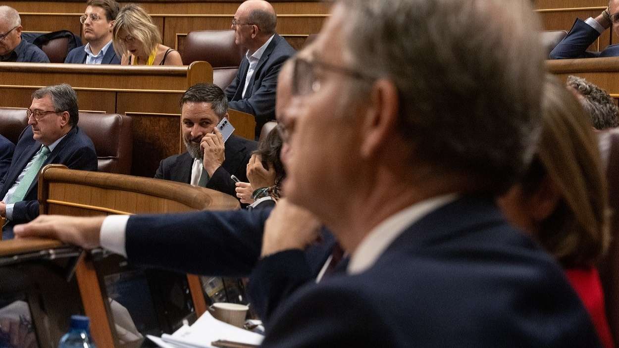 El líder de Vox, Santiago Abascal, mira al presidente del PP, Alberto Núñez Feijóo. EP