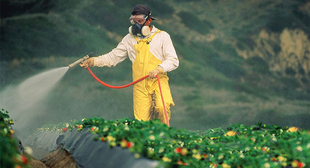 La Unión Europea prorroga el uso del polémico herbicida glisofato