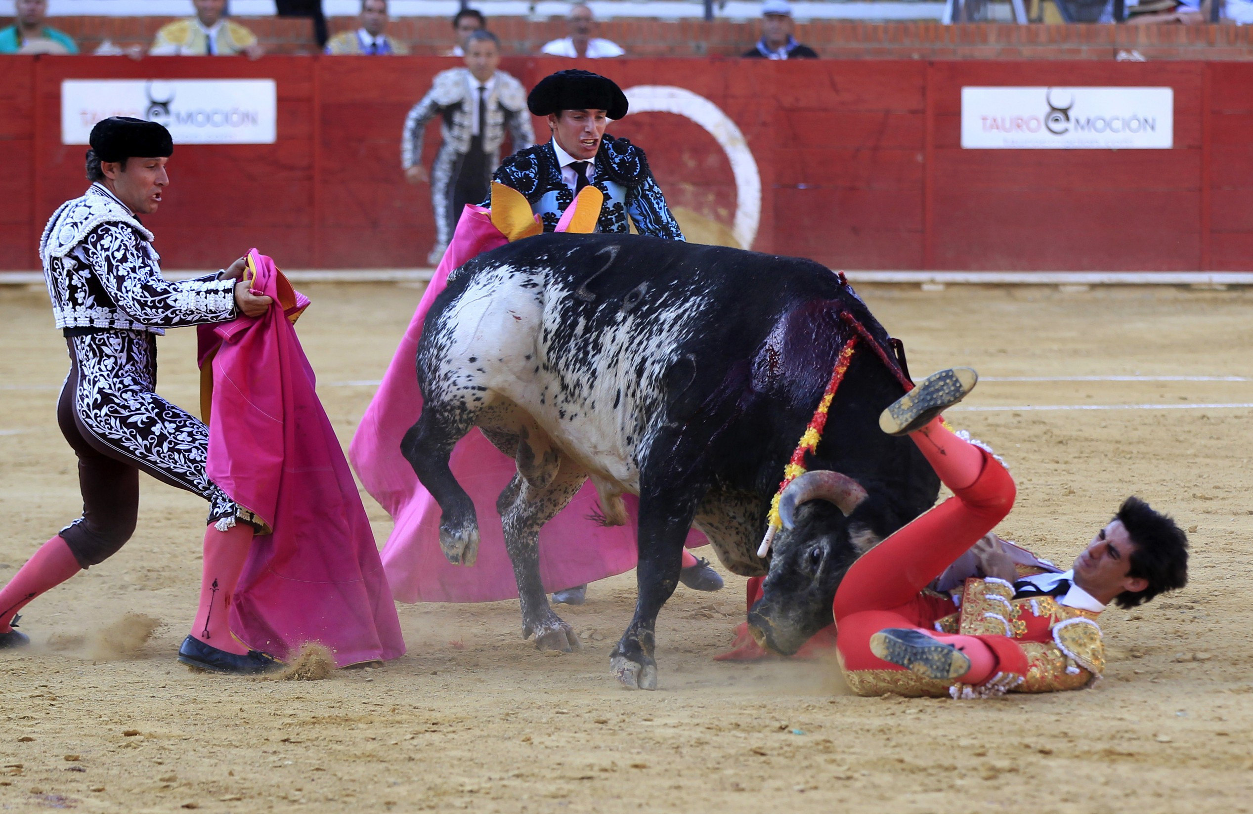 Lance en la corrida de toros de Teruel que acabó con la vida de Víctor Barrio.