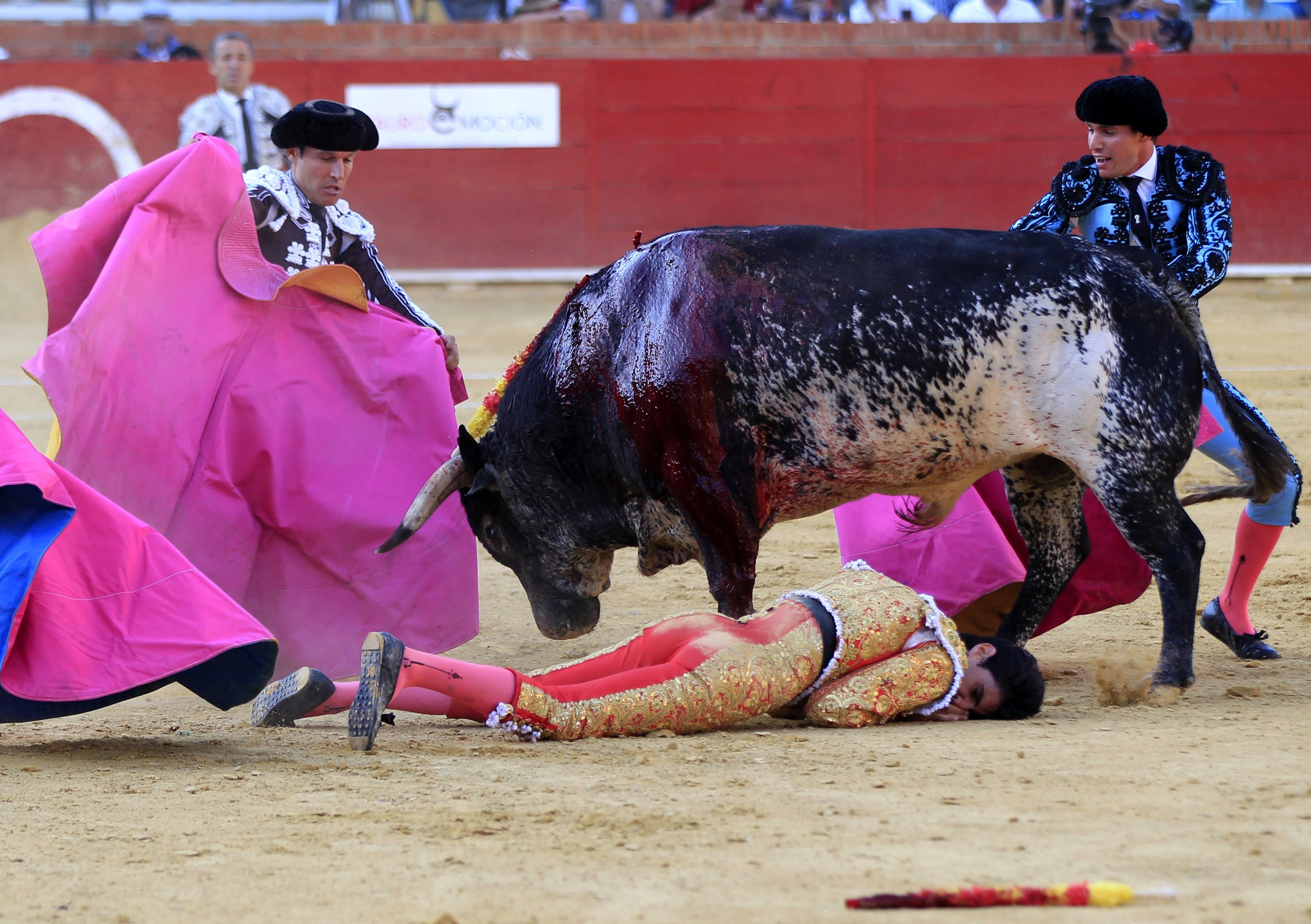 El torero Víctor Barrio, después de la cogida del tercer toro de la tarde en Teruel que le quitó la vida.