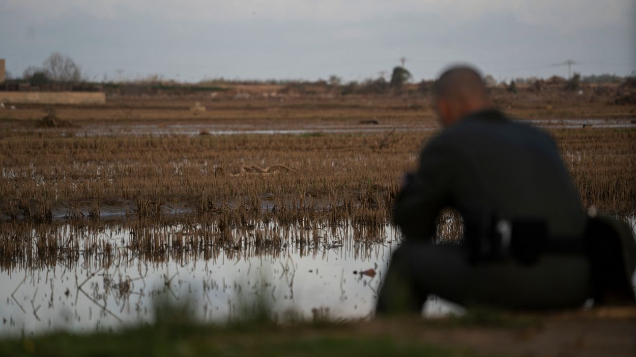Estado de la Albufera de Valencia tras el paso de la DANA. EP.