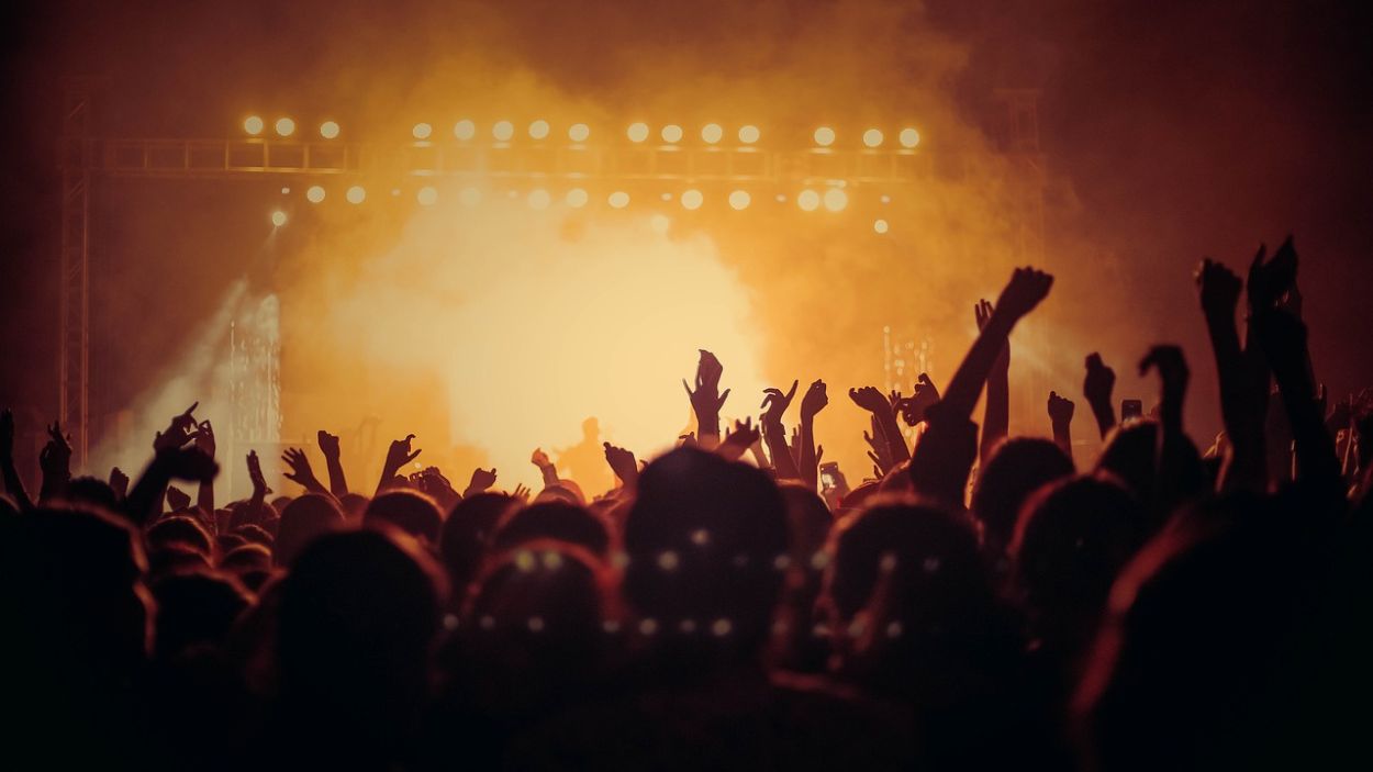Público disfrutando de un concierto. Pixabay
