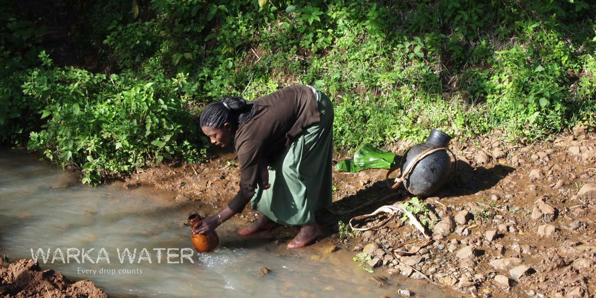 Warka Water - Capturando agua en el desierto