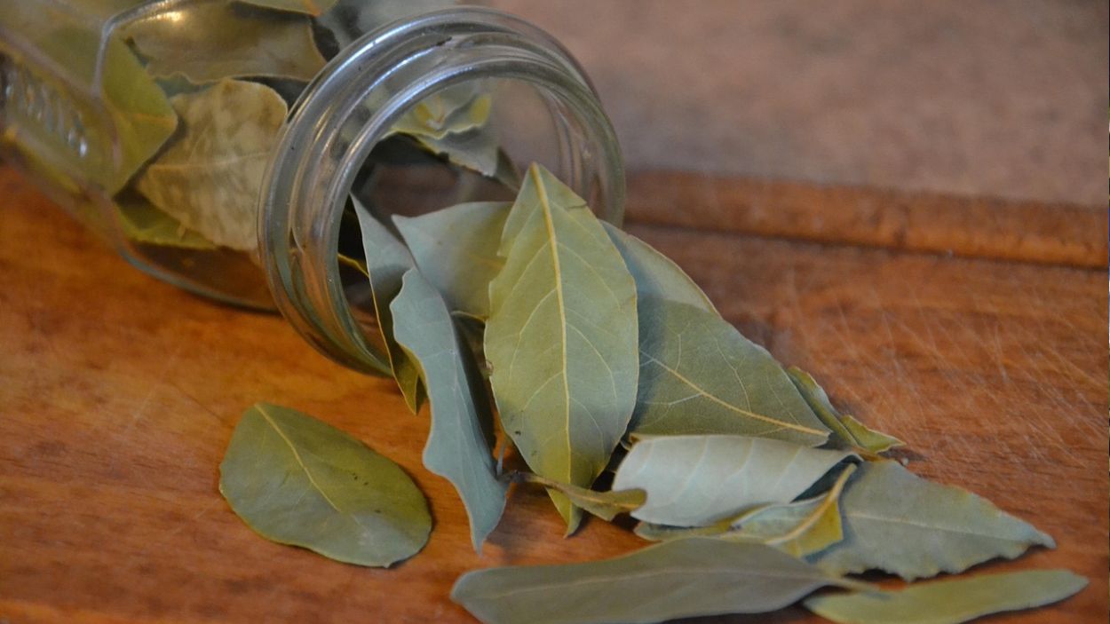 Hojas de laurel. Pixaby.