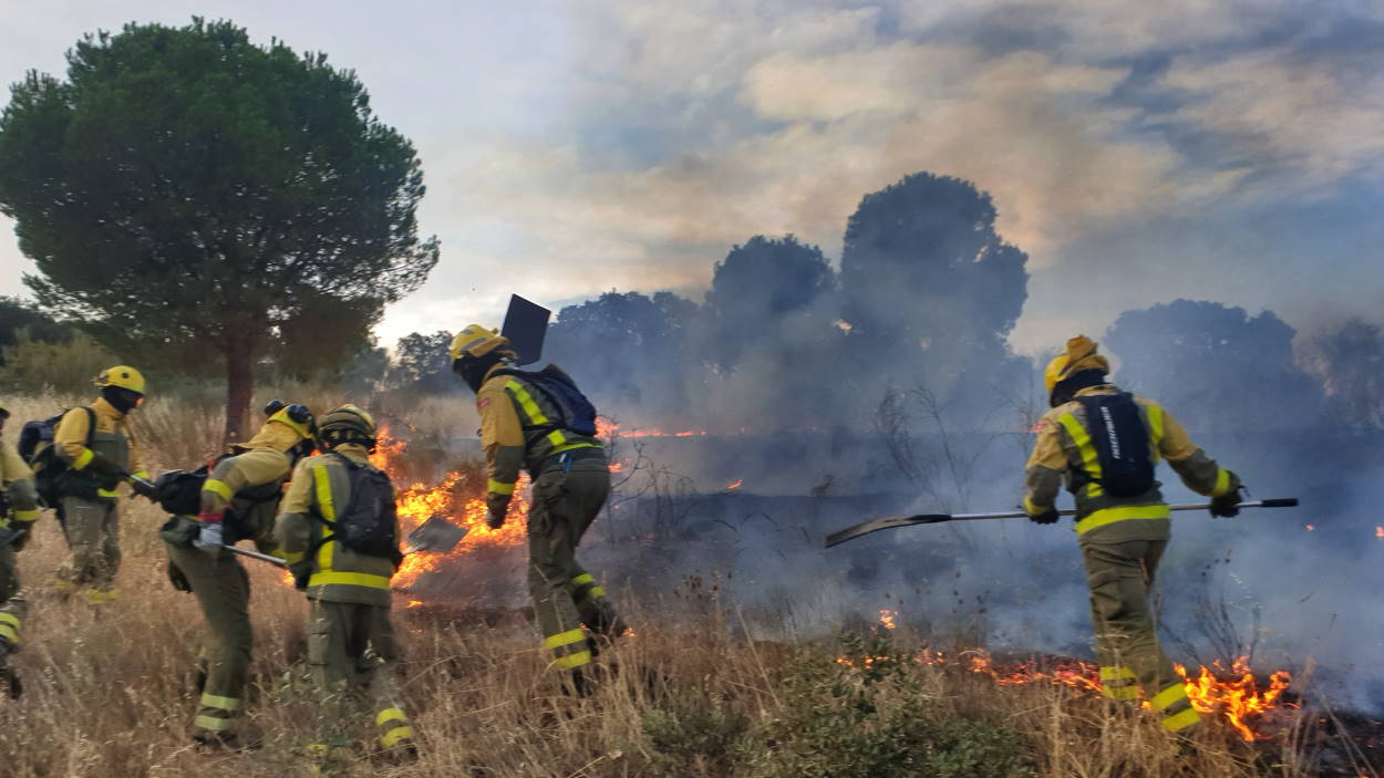 Bomberos Forestales de la Comunidad de Madrid durante una actuación.