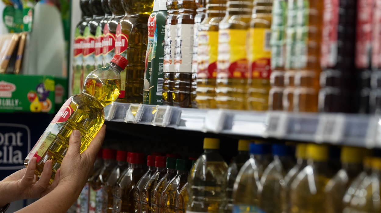 La lluvia se lleva el precio del aceite de oliva a mínimos de los últimos años. EP.