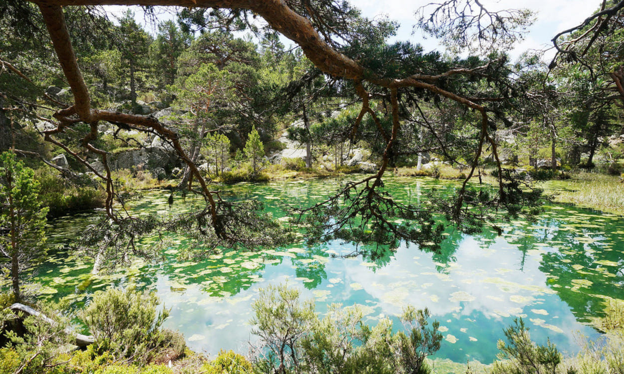 La Laguna Verde de Vinuesa Embalse Cuerda del Pozo (Foto:Ayuntamiento de Vinuesa)