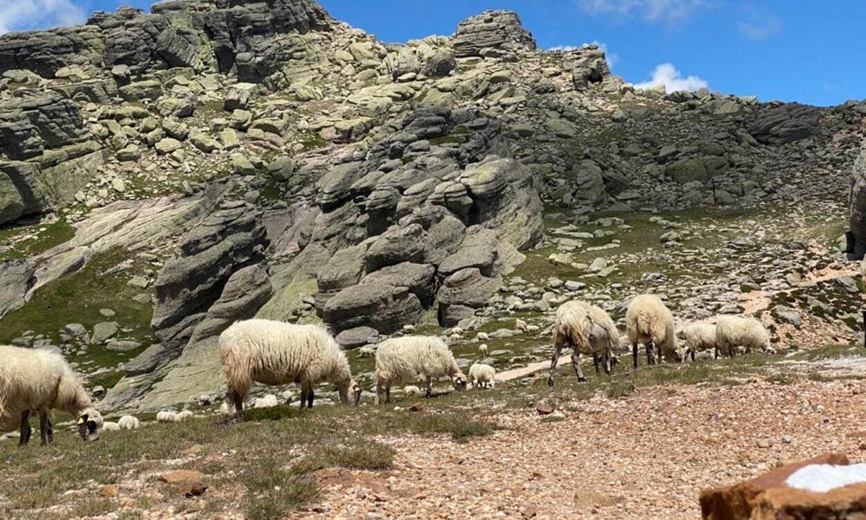 Pico de Urbión de Vinuesa Embalse Cuerda del Pozo (Foto:Ayuntamiento de Vinuesa)