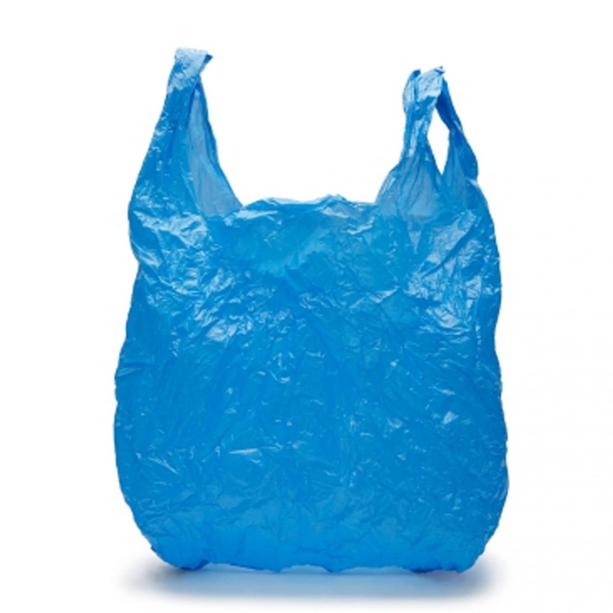 melocotón comentarista dedo Datos curiosos sobre las bolsas de plástico
