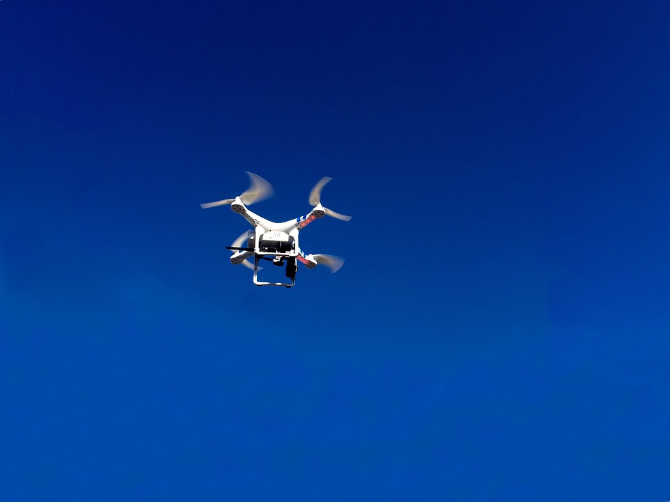 Galicia controlará las plagas de sus bosques con drones