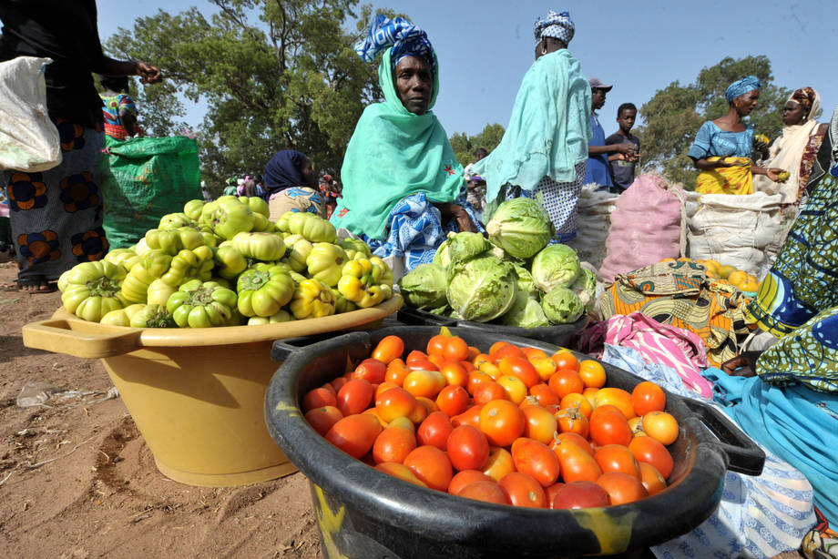 23 millones de personas de África austral requieren ayuda agrícola urgente