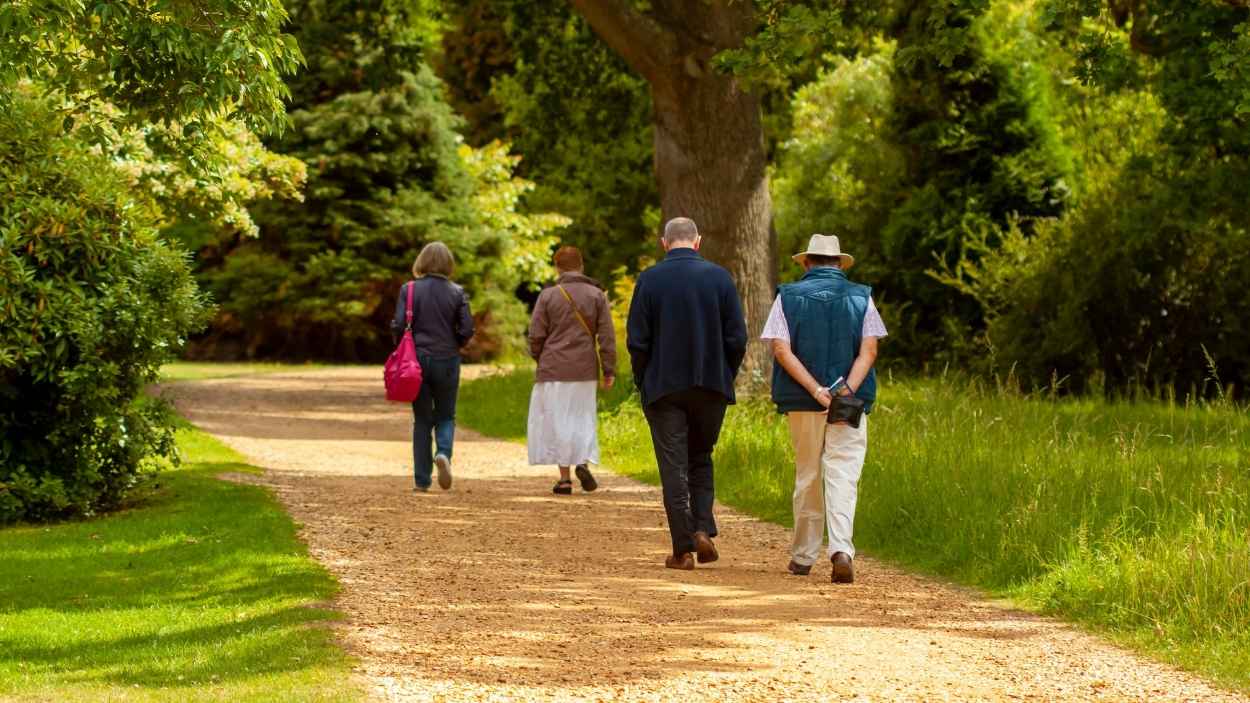 Personas paseando en un parque. Canva