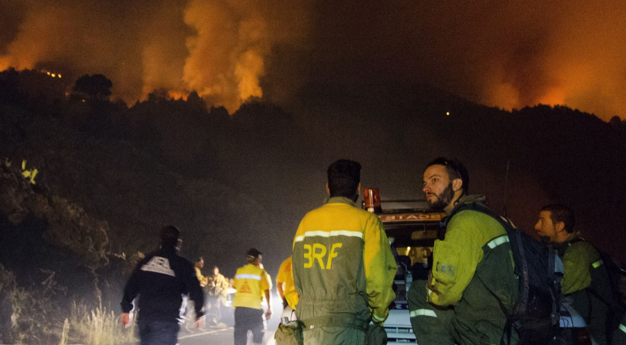 Agentes forestales en el incendio de La Palma. EFE