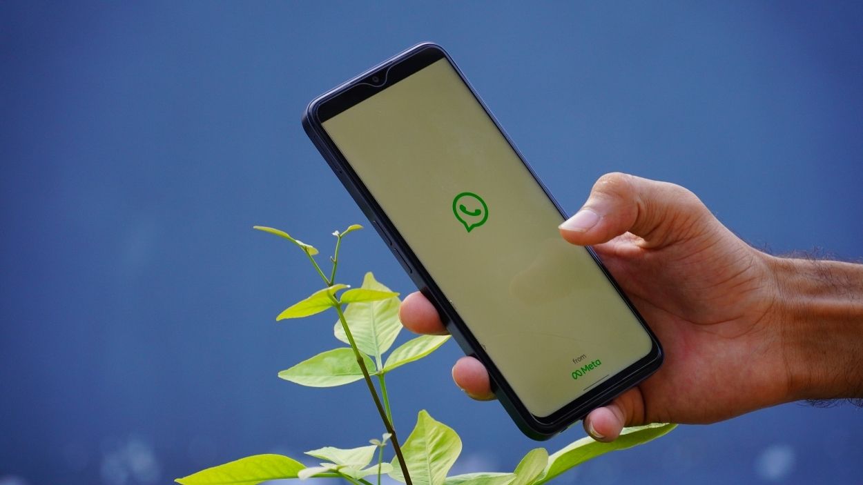 Whatsapp. Canva