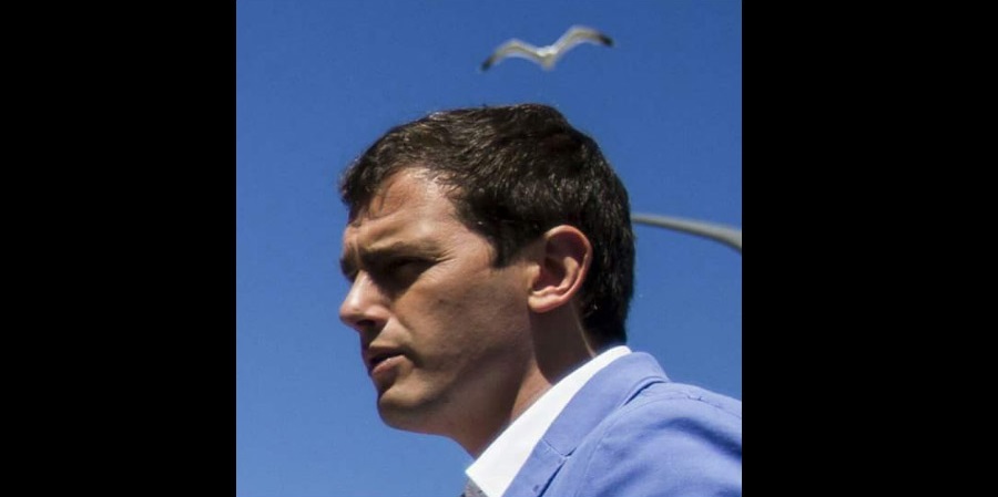 Albert Rivera y la gaviota - Twitter