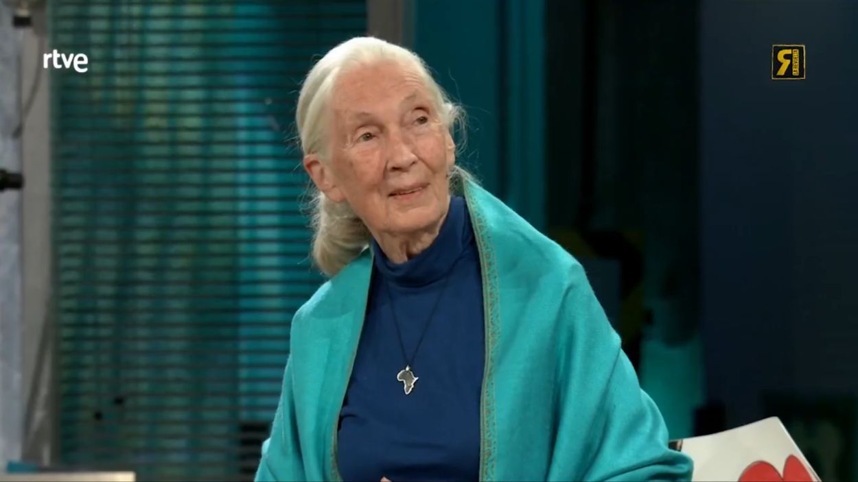 Jane Goodall en 'La Revuelta'.