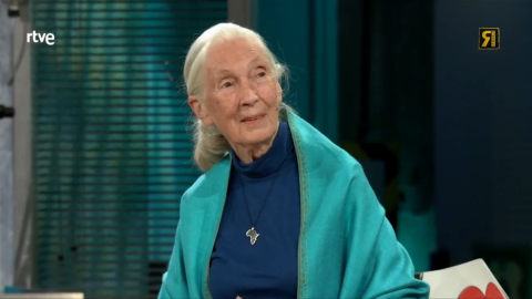 Momento animal en 'La Revuelta': Jane Goodall y Broncano muestran sus dotes para imitar chimpancés y ciervos