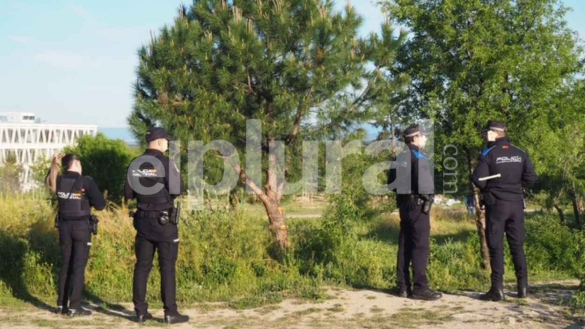 Agentes de Policía Nacional y Local supervisan la tala de árboles en Montecarmelo Agentes de Policía Nacional y Local supervisan la tala de árboles en Montecarmelo