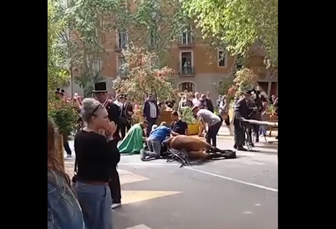 Muere un caballo de forma súbita en la cabalgata de Tres Tombs de Barcelona