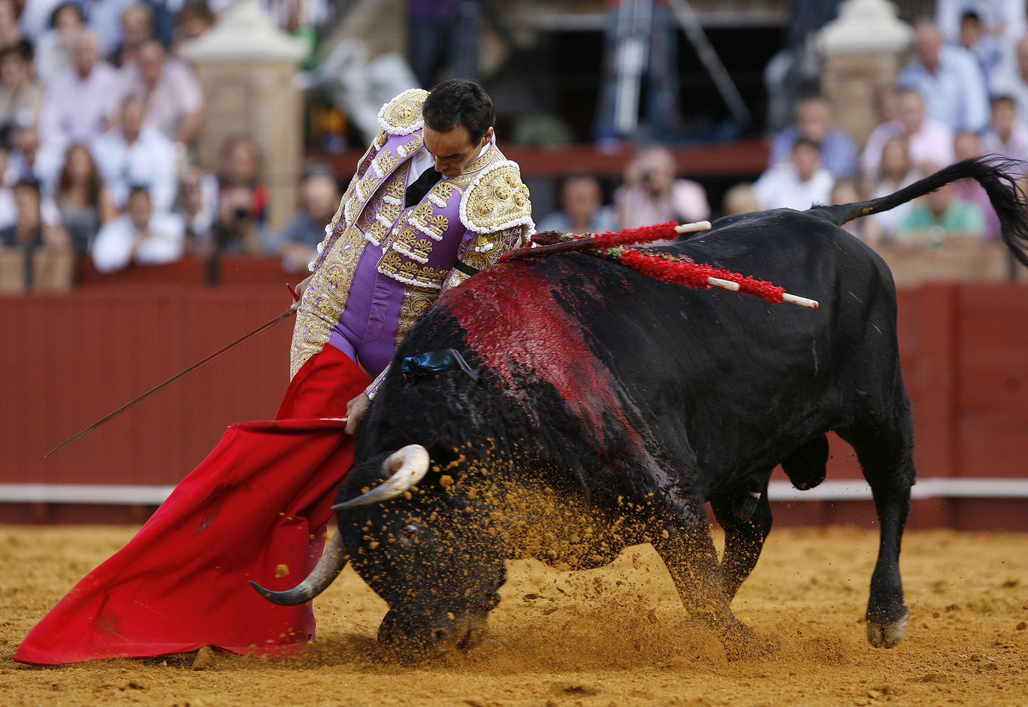El torero español 'El Cid'. elcid.es