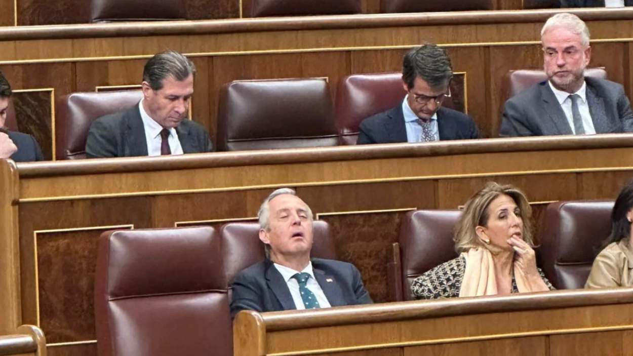Pablo Sáez, tesorero de Vox, dormido en el Congreso. X