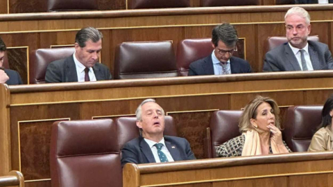 El tesorero de Vox se duerme en el Congreso y las cámaras lo pillan de pleno