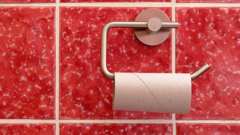 Es higiénico el papel de wáter Es higiénico el papel de wáter