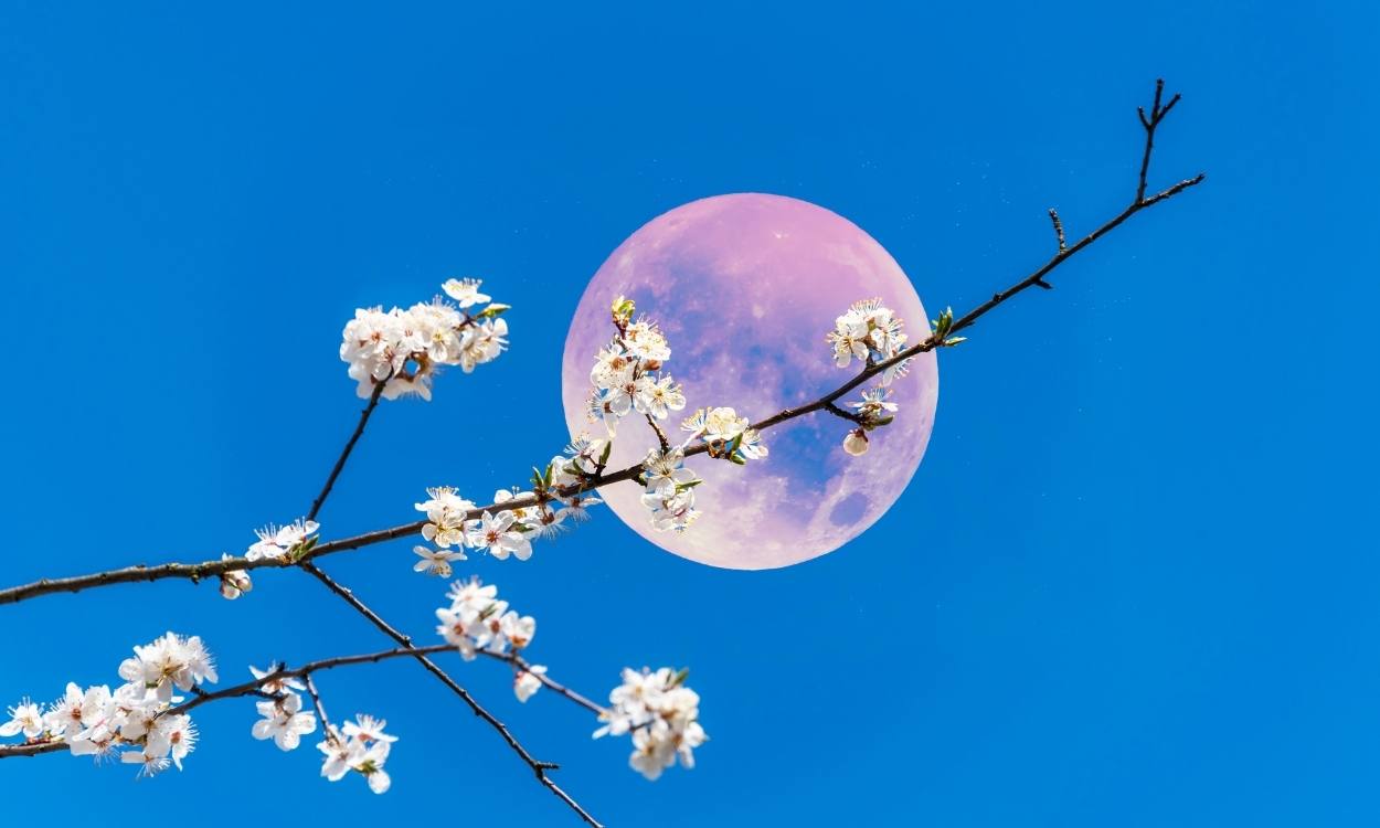 Luna llena de las flores