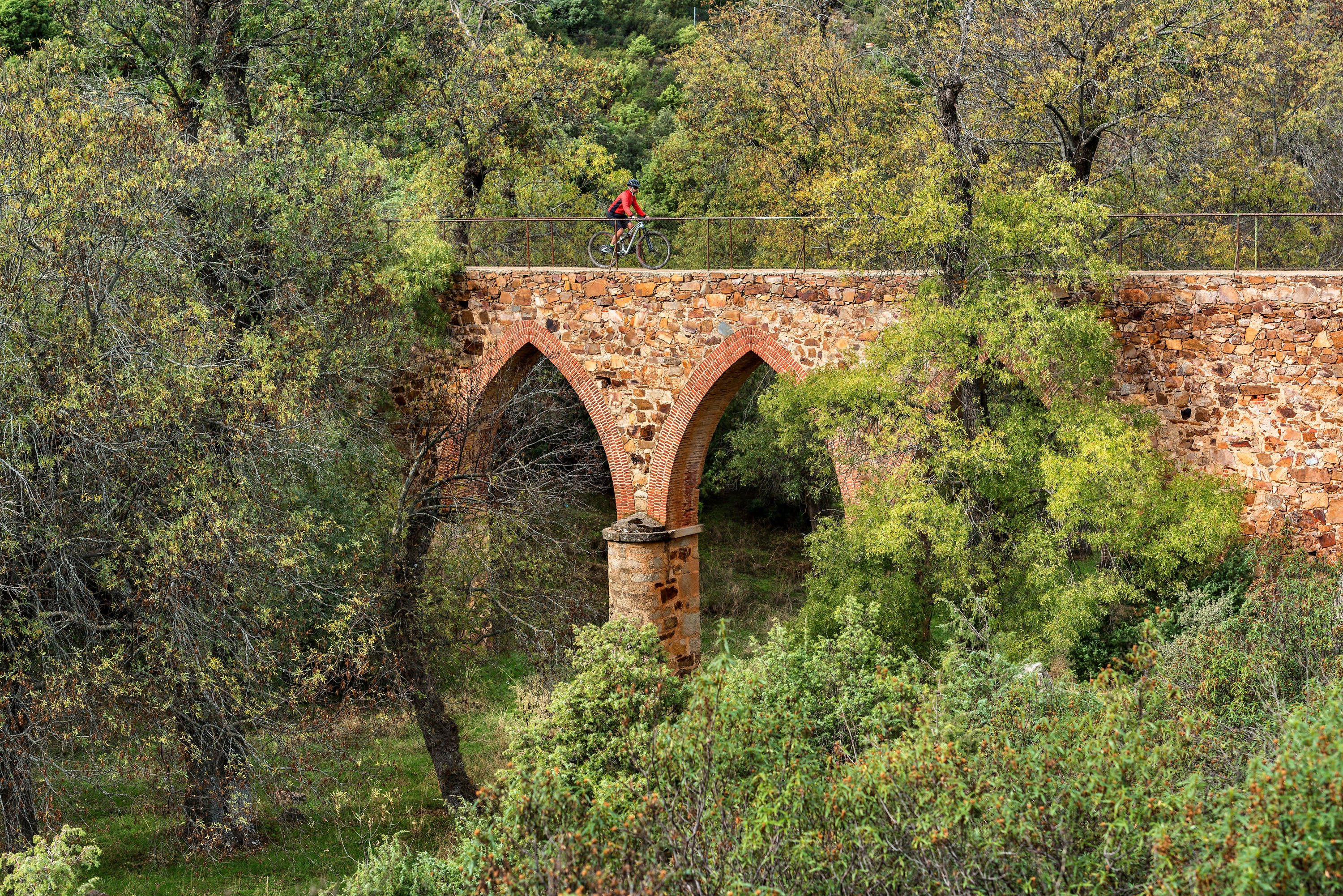 Cicloturismo entre caminos naturales en Hontanar, en los Montes de Toledo: un plan perfecto para respirar primavera. ©Turismo Castilla-La Mancha, David Blázquez.