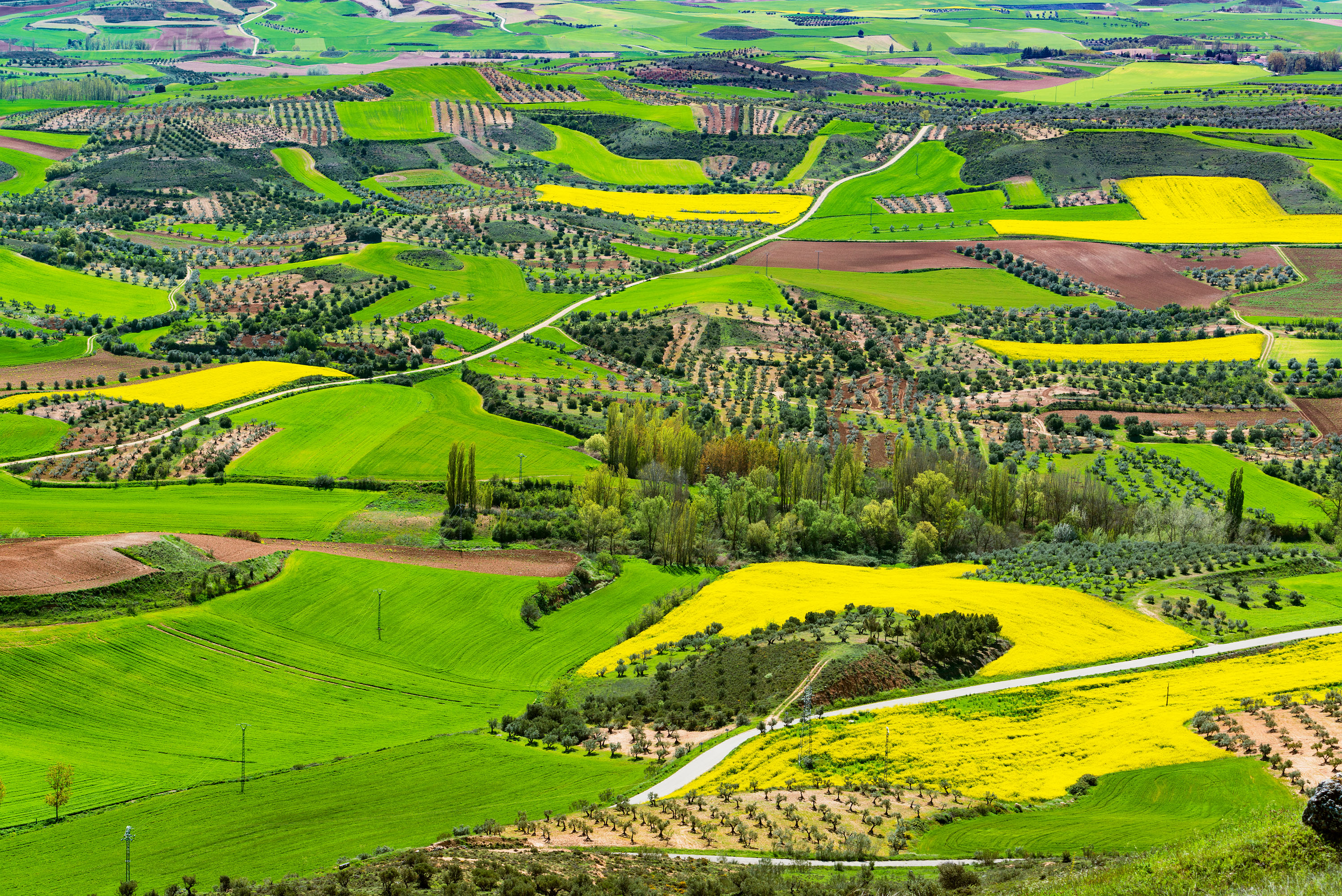 Horizontes amplios y caminos abiertos en la Alcarria: un escenario perfecto para perderse entre aromas de primavera y cielos inmensos. ©Turismo Castilla-La Mancha, David Blázquez.
