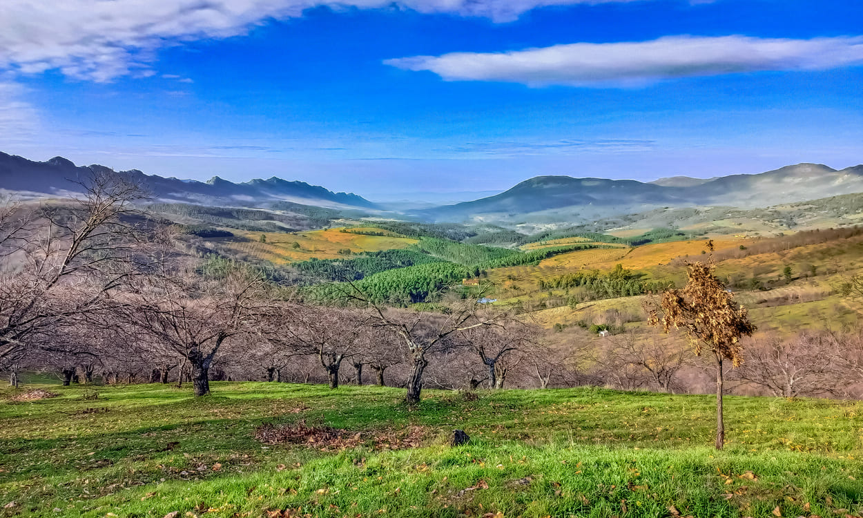 Un fascinante entorno en la ruta 'El susurro del bosque'. PARADORES Un fascinante entorno en la ruta 'El susurro del bosque'. PARADORES
