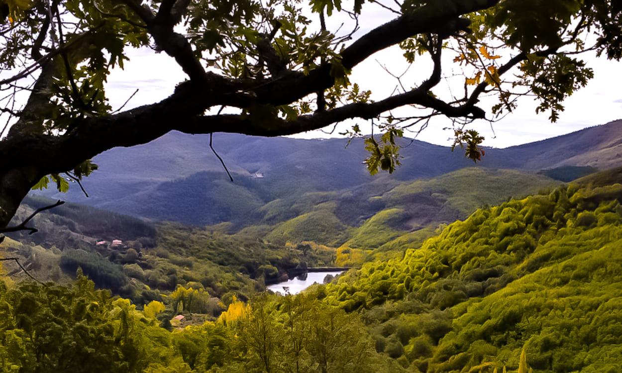 La ruta de senderismo 'En busca del Arca del Agua' que ofrece un baño en el bosque profundo. PARADORES La ruta de senderismo 'En busca del Arca del Agua' que ofrece un baño en el bosque profundo. PARADORES