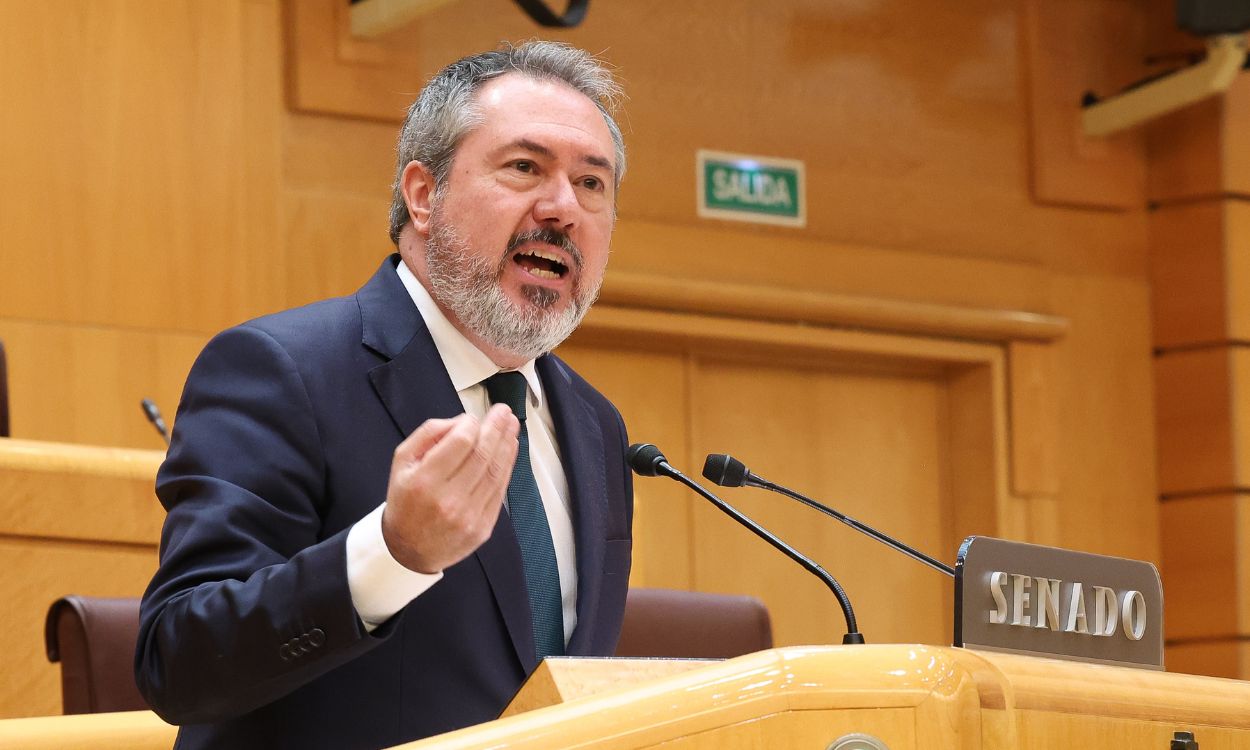 Juan Espadas, portavoz del PSOE en el Senado. EP.