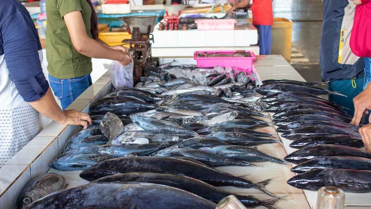 Puesto de mercado de pescado. Pixaby