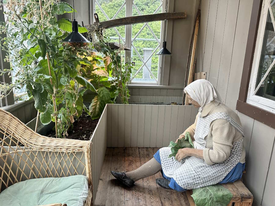 Ante el éxito del snus en Suecia empezó a cultivarse tabaco, una práctica ahora olvidada, pero que tiene su presencia en el Museo del Snus, en el parque Skansen de Estocolmo. (Foto: ElPlural)